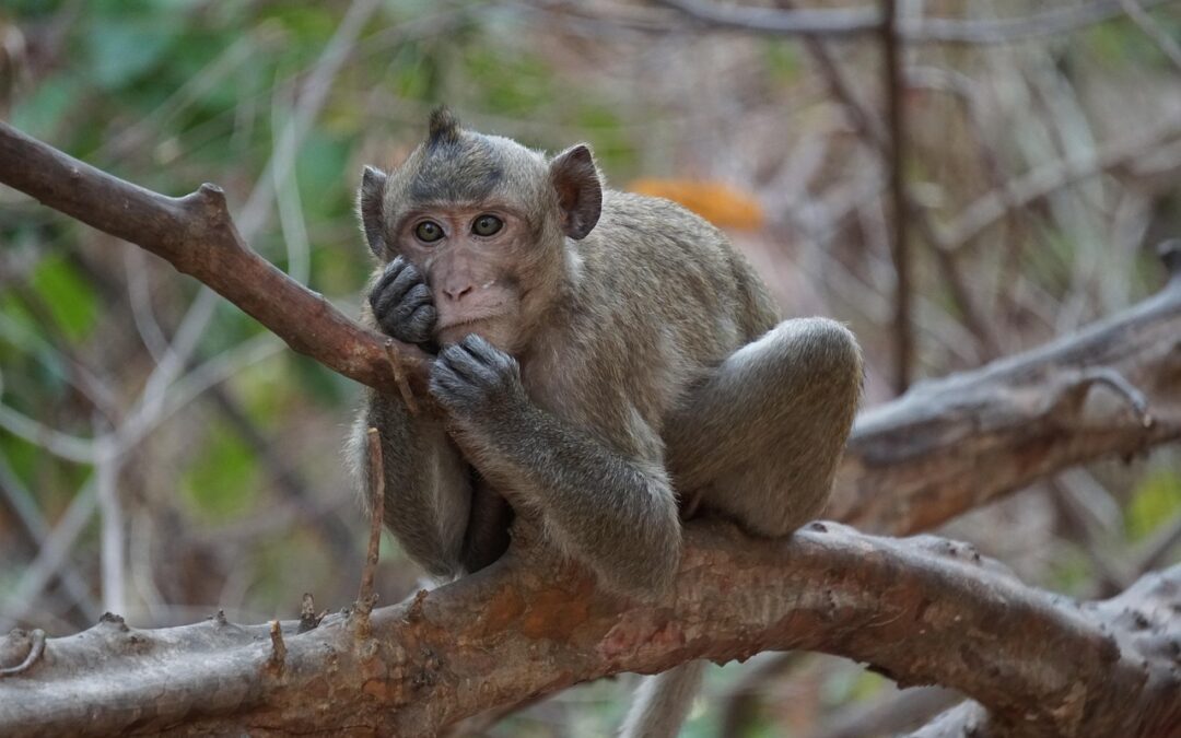 These Questions Are Designed To Explore The Profound Intersection Of…