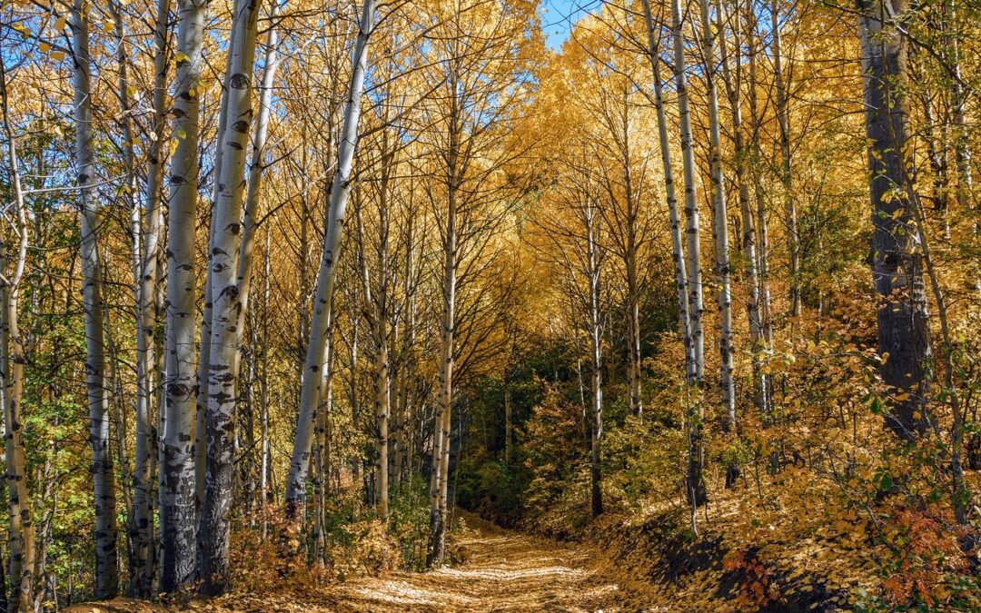 These Questions Can Help Deepen Understanding And Spark Intriguing Discussions…