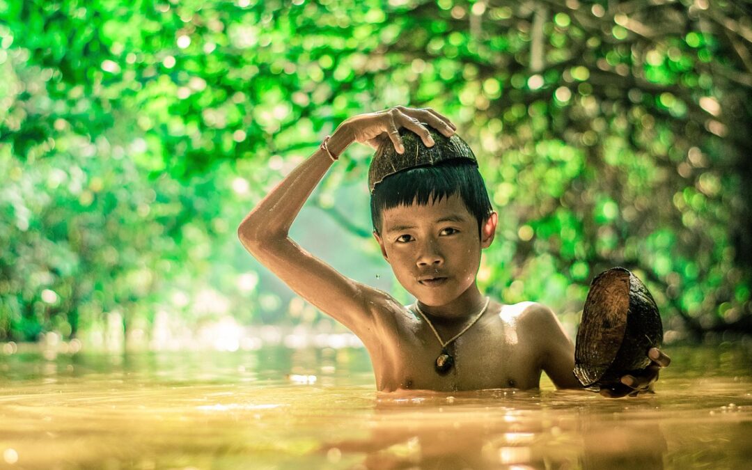 “What Role Do Constellations Play In Chinese Astrology” | Unlocking…