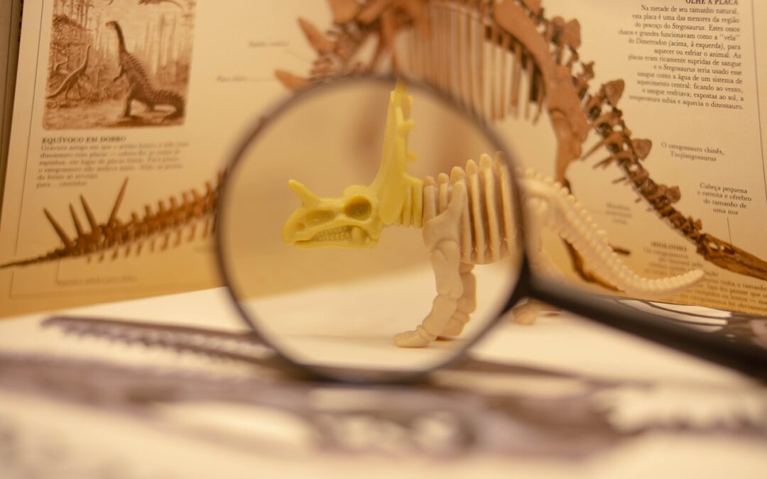 “astrology And Soul‑level Emotional Evolution” | Climbing Towards Your Soul’s…