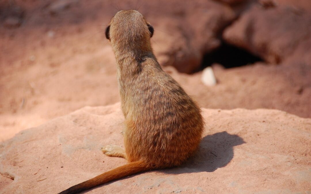 Astrological Predictions For The Year Ahead | Unlock Your Future:…