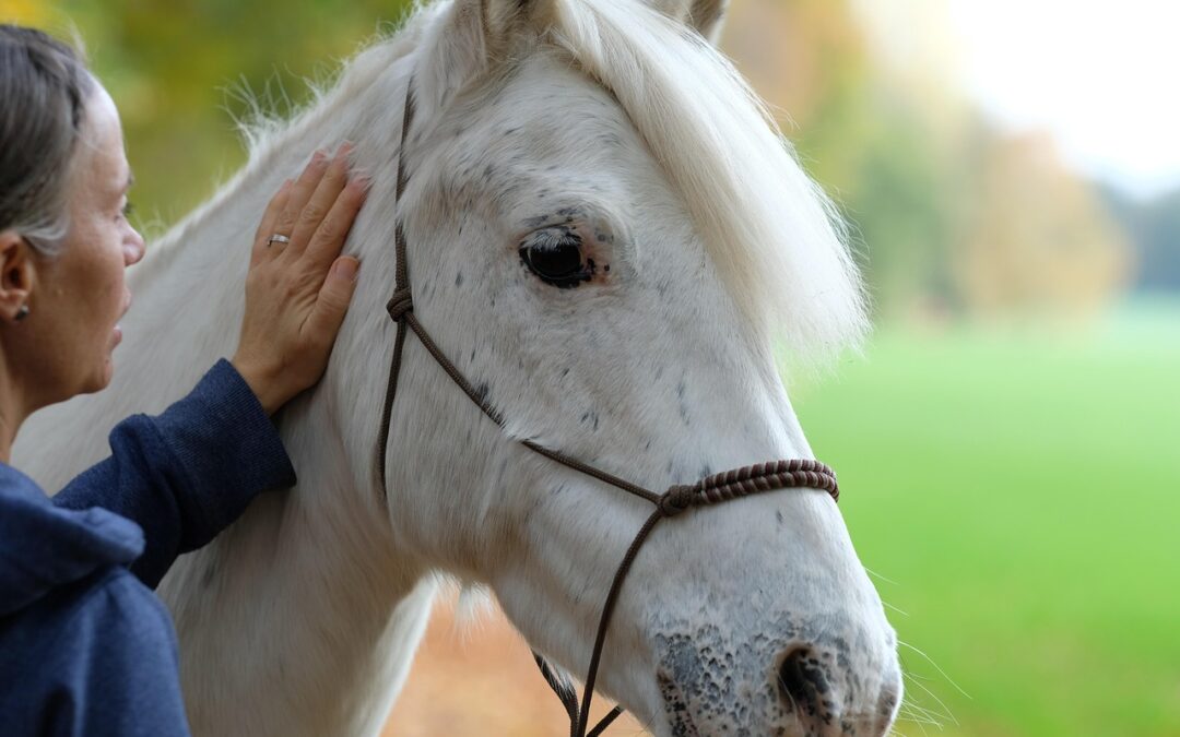 Astrology And Karmic Connections: The Serpent’s Coil: Unraveling Your Karmic…