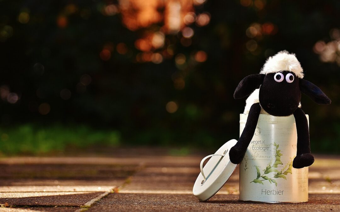 “How Can Ecliptic Astrology Help Me Understand My Soul’s Emotional…