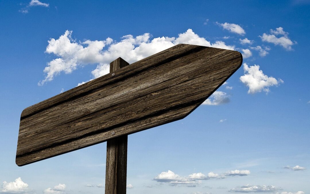 “How Do Ecliptic Signs Influence My Emotional Spiritual Development” ~…