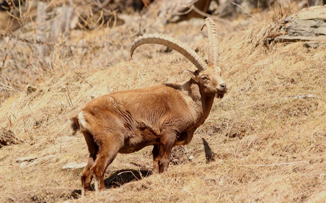 “How To Harness Cosmic Energy” / Unlocking The Universe’s Power:…