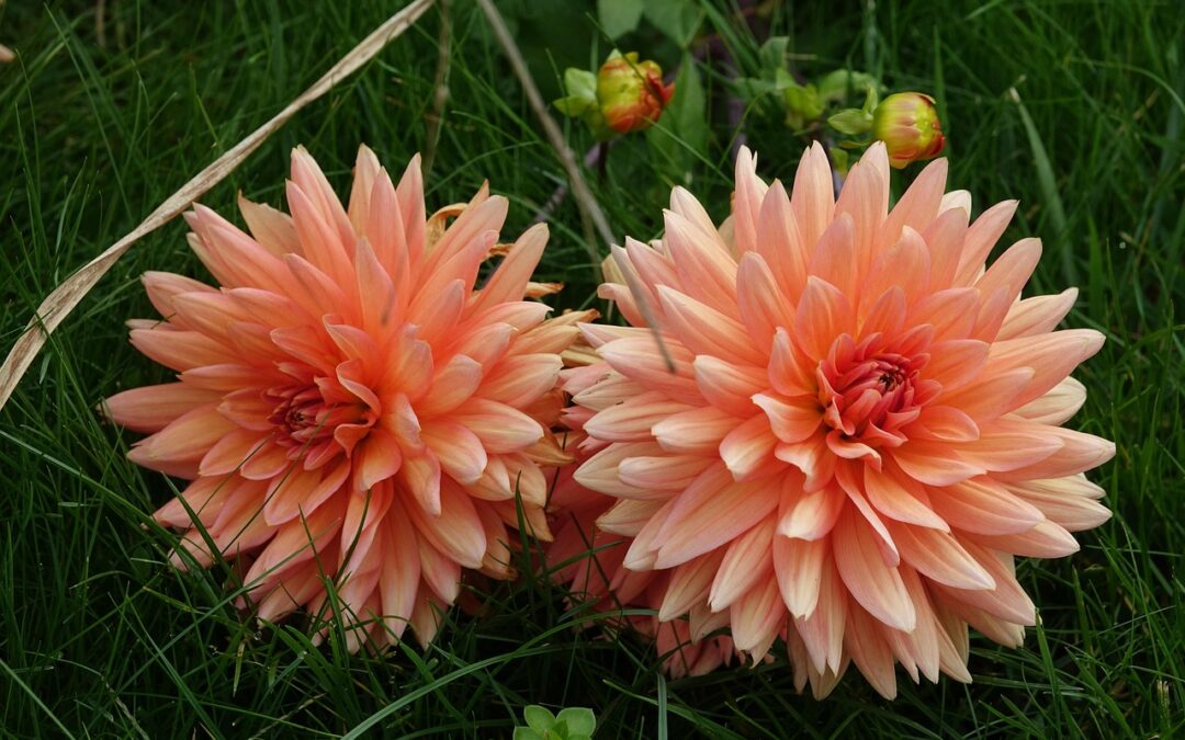 Journey Through The Cosmos With Us &raquo; Embark On An…