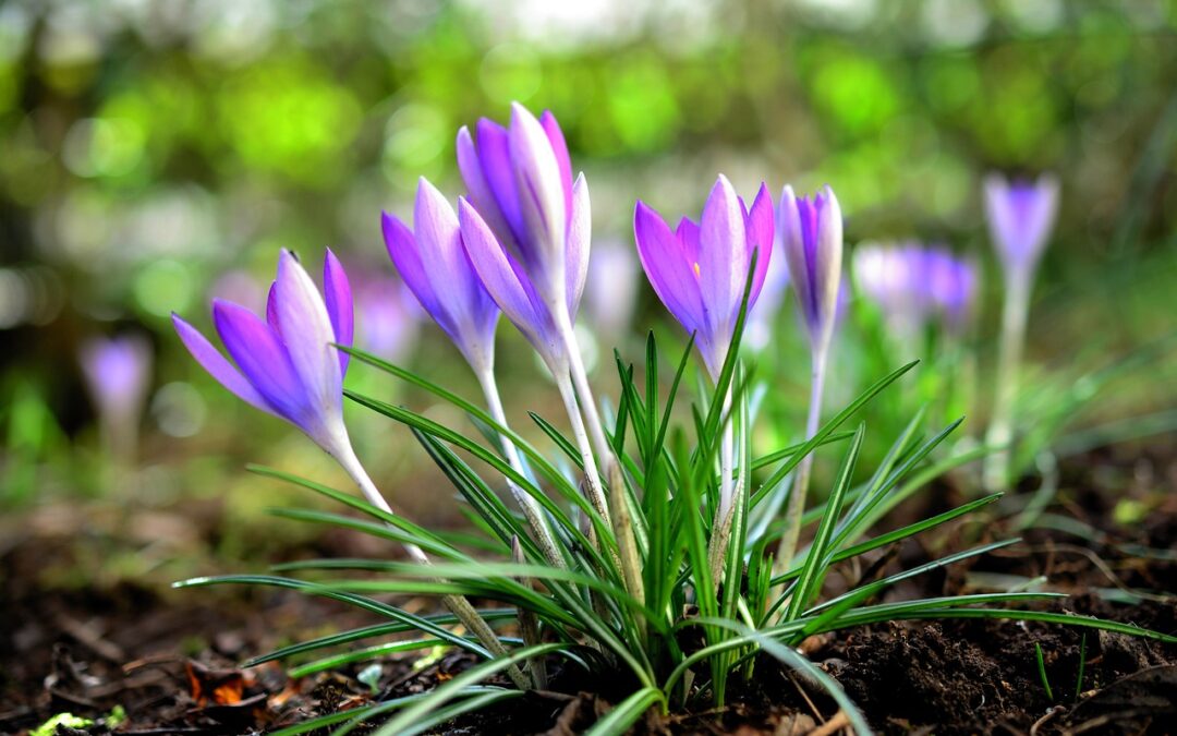 “astrology And Spiritual Awakening Signs” ~ The Stars Have A…