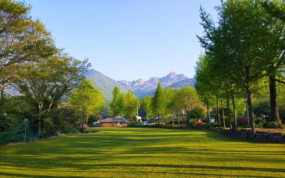 “how To Interpret Ecliptic Signs For Soul‑level Healing” / Whispers…