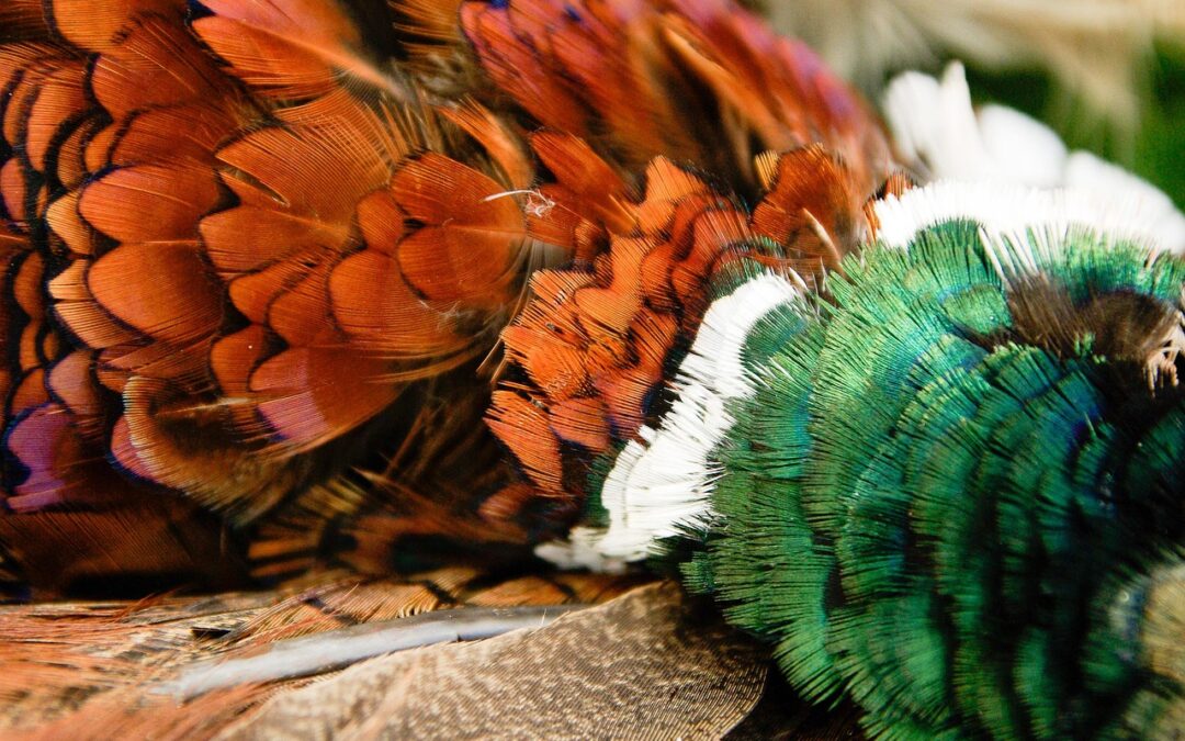 “Finding Enlightenment Through Astrology” | Unlocking Your Inner Light: How…