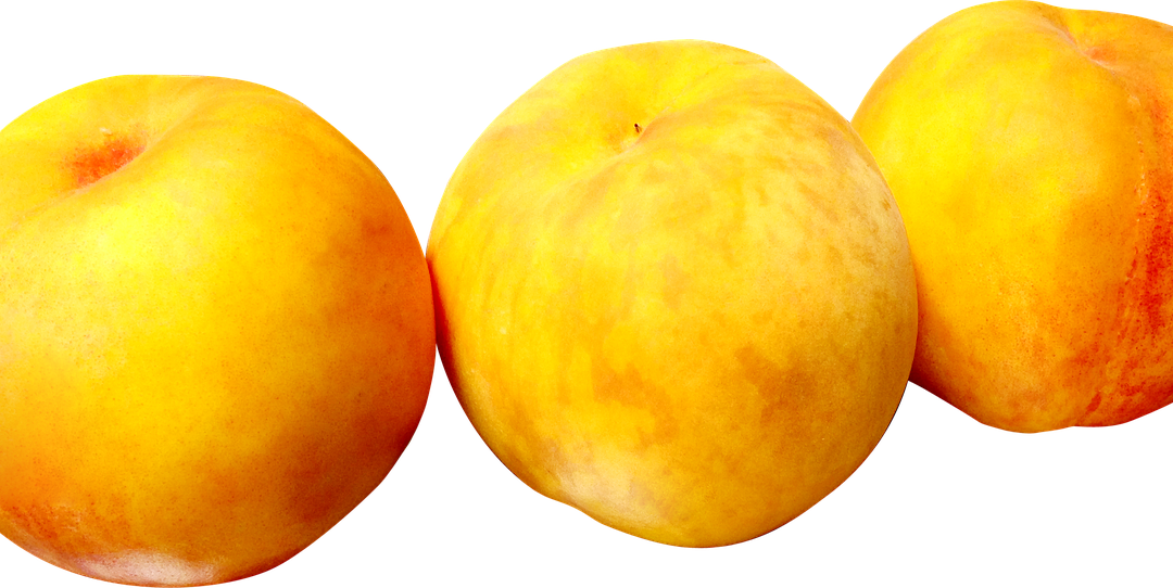 “How Can I Use Ecliptic Astrology To Understand My Soul’s…