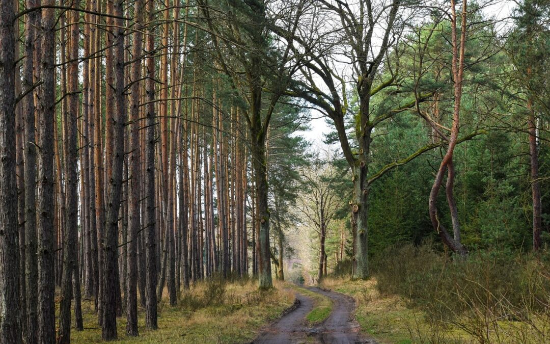 What Are The Most Effective Ways To Incorporate Astrological Guidance…