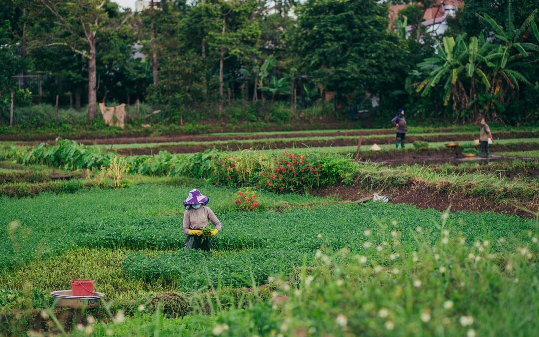 “astrology And Cosmic Life Mapping” – Unlocking Your Cosmic Map:…