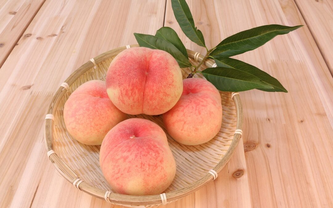 “how To Understand Your Ecliptic Zodiac Sign” &raquo; Sure, Here’s…