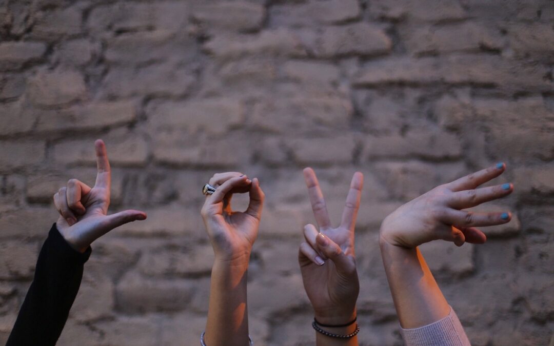 “how To Use Ecliptic Signs For Soul‑centered Emotional Awareness” &raquo;…